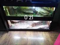 Za darmo duże terrarium  do 15czerwca