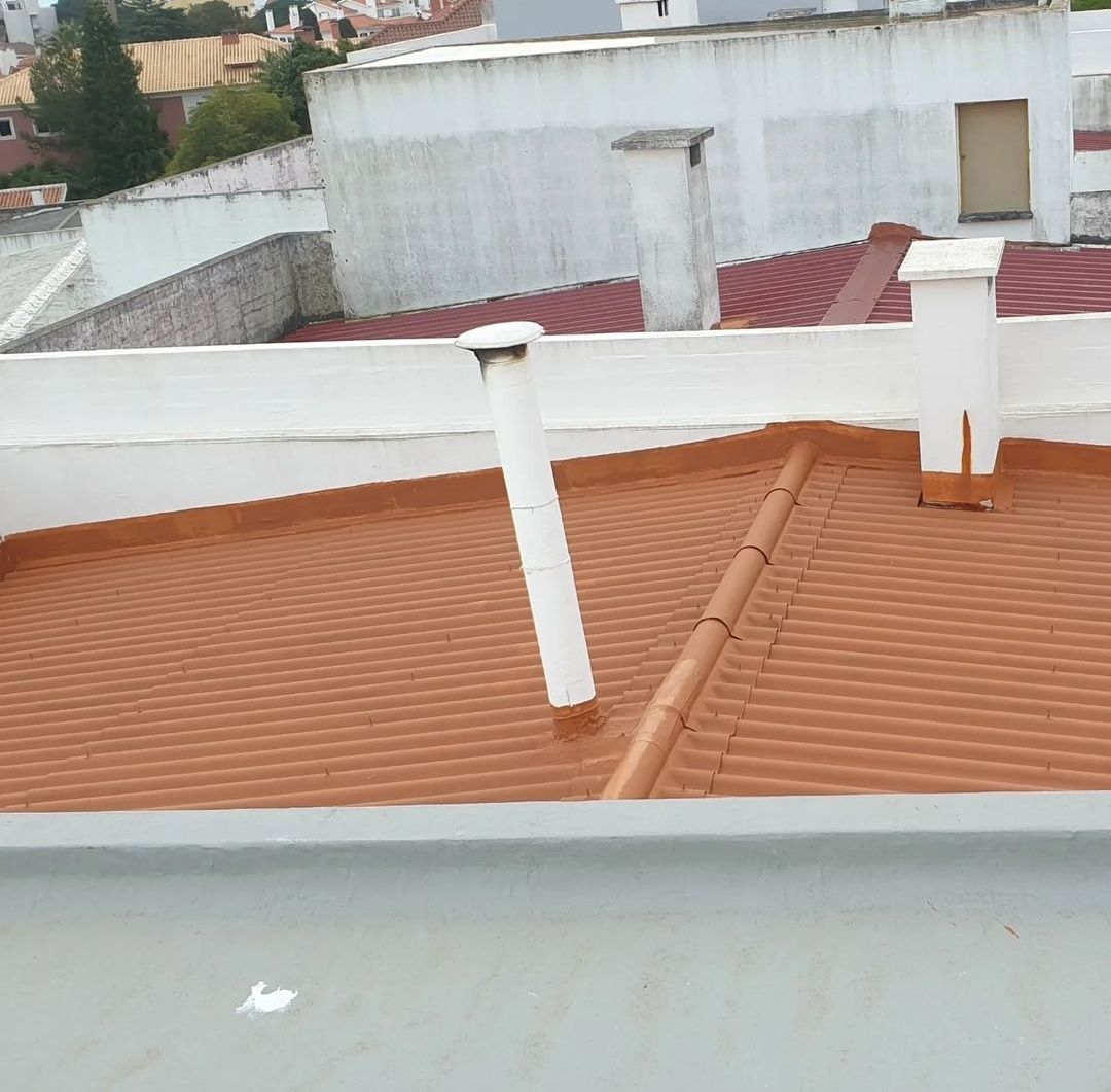 Manutenção e limpeza de telhados