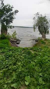 Дачу с домом на острове возле с. Приднепровское возле реки