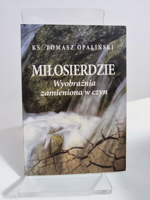 Miłosierdzie Wyobraźnia zamieniona w czyn - Ks. Tomasz Opaliński