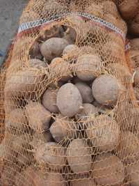 Ziemniaki 35- 45 kalier drobne