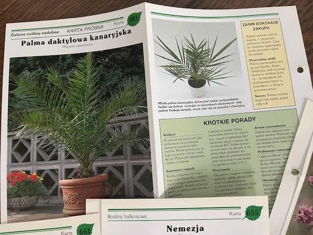 KWIATY  w moim domu - 4 segregatory- MOC WIEDZY !