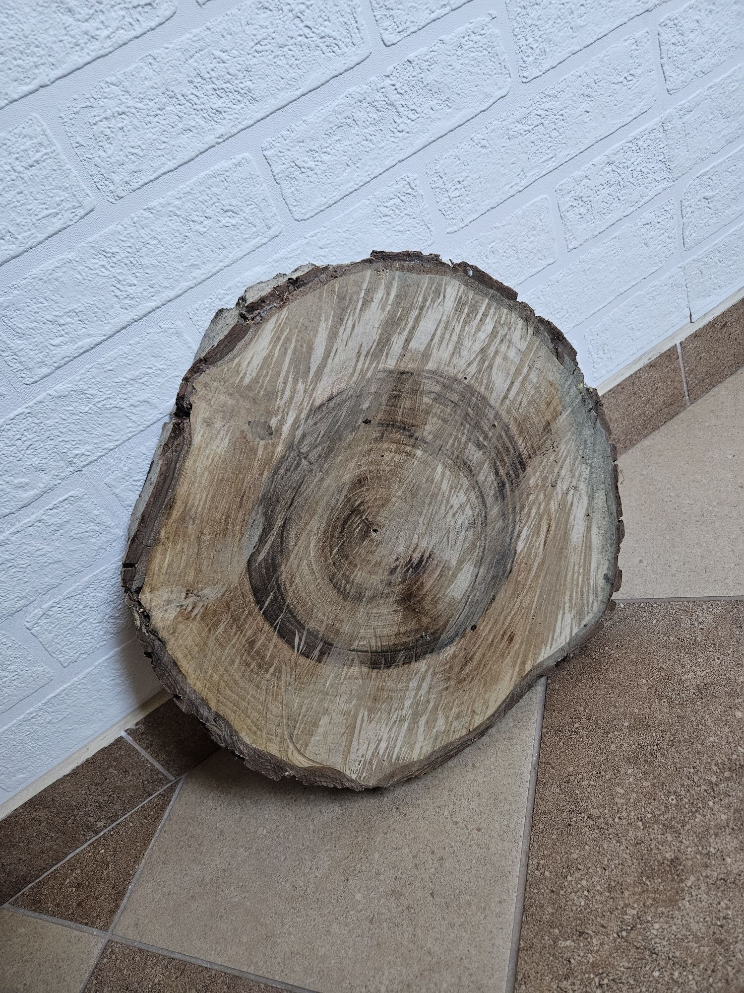 Plaster orzecha włoskiego na stolik kawowy