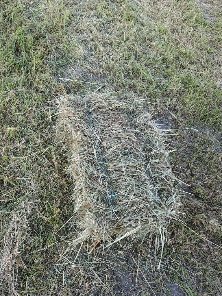 Сіно, сіно лугове, сіно в тюках, тюки