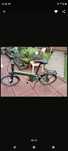 Rower Prophete elektryk