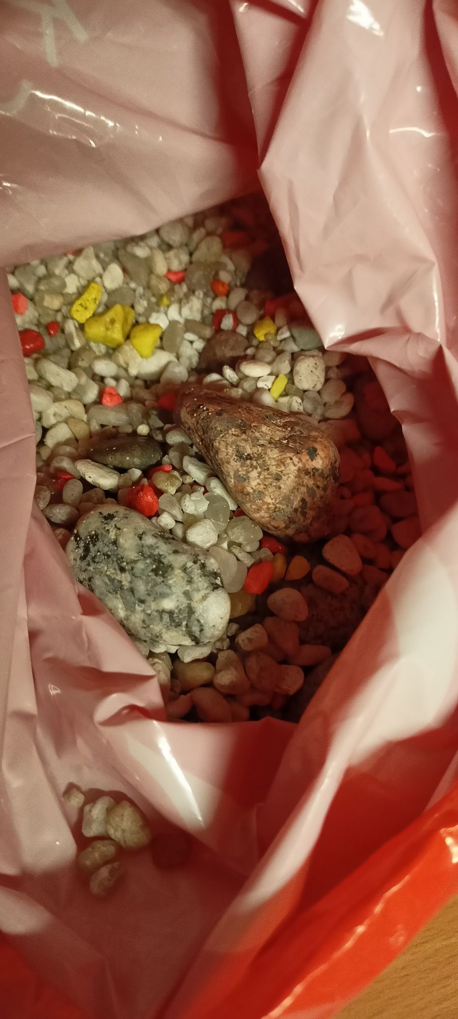 Akwarium 10l plus akcesoria