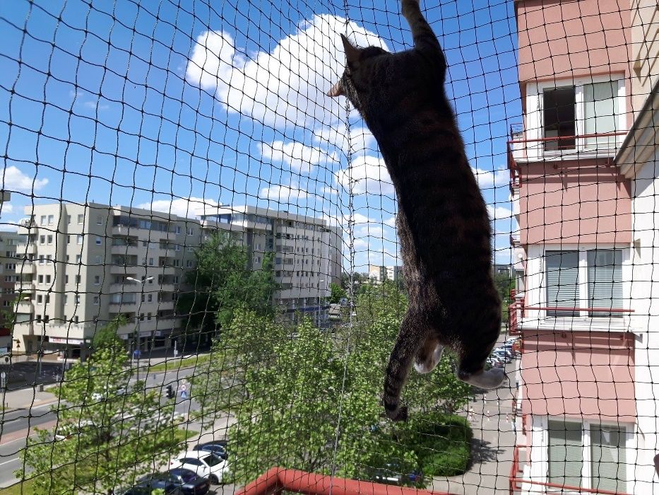 Zabezpiecznie balkonu, Siatka dla kota, i lub na gołębie.