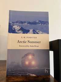 Arctic Summer (C/portes)