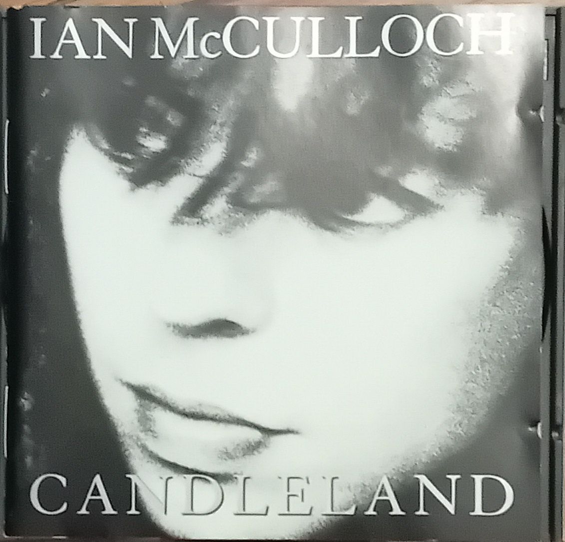 CDs: Ian McCuloch, Secret Machines, Stephin Merritt