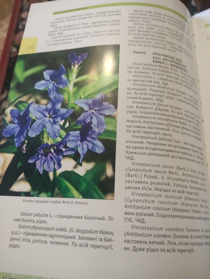 Продам книгу Ліси Донеччини