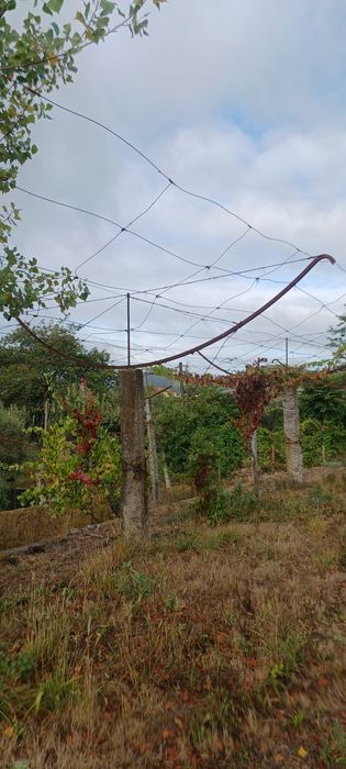 Bancas de ramada em ferro