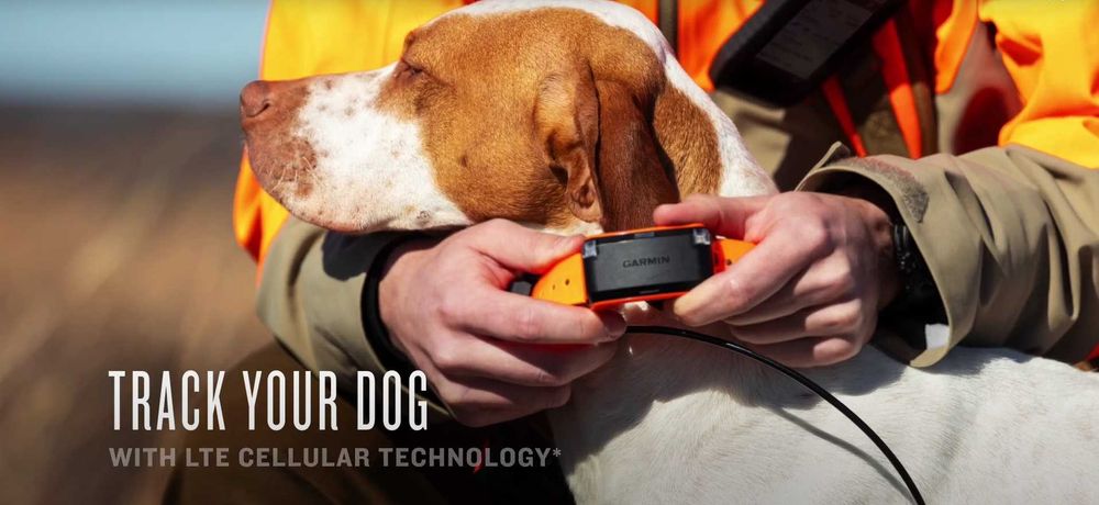 Garmin Alpha LTE obroża śledząca tracker dla psa lokalizator psa