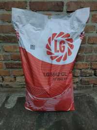 Продам насіння соняшнику Лімагрейн 5542 КЛ | Lg 5542 CL