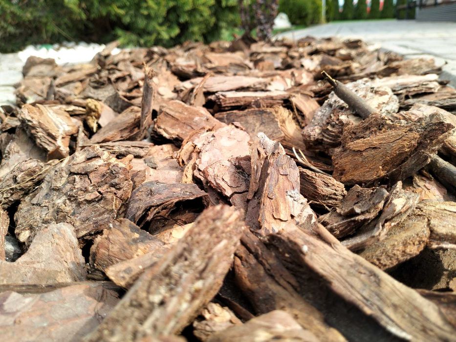 Kora sosnowa 80L GRUBA 6-12cm