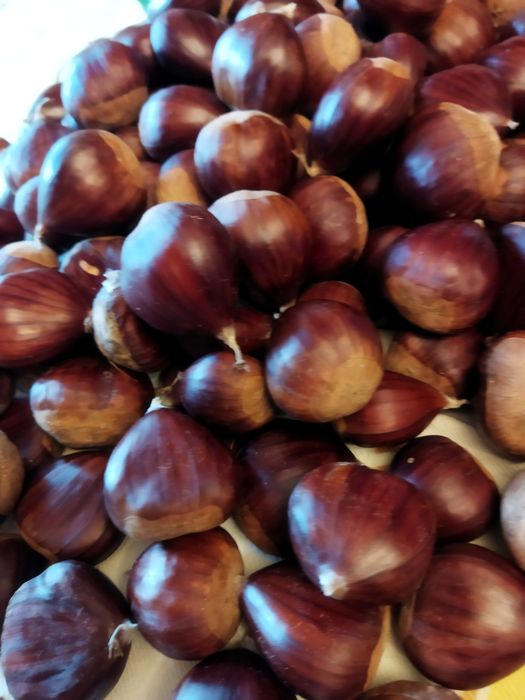 Castanhas De Boa Qualidade