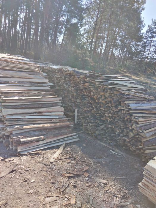 Oszasty sosnowe.. Więcej inf pod nr 6047siedem861osiem