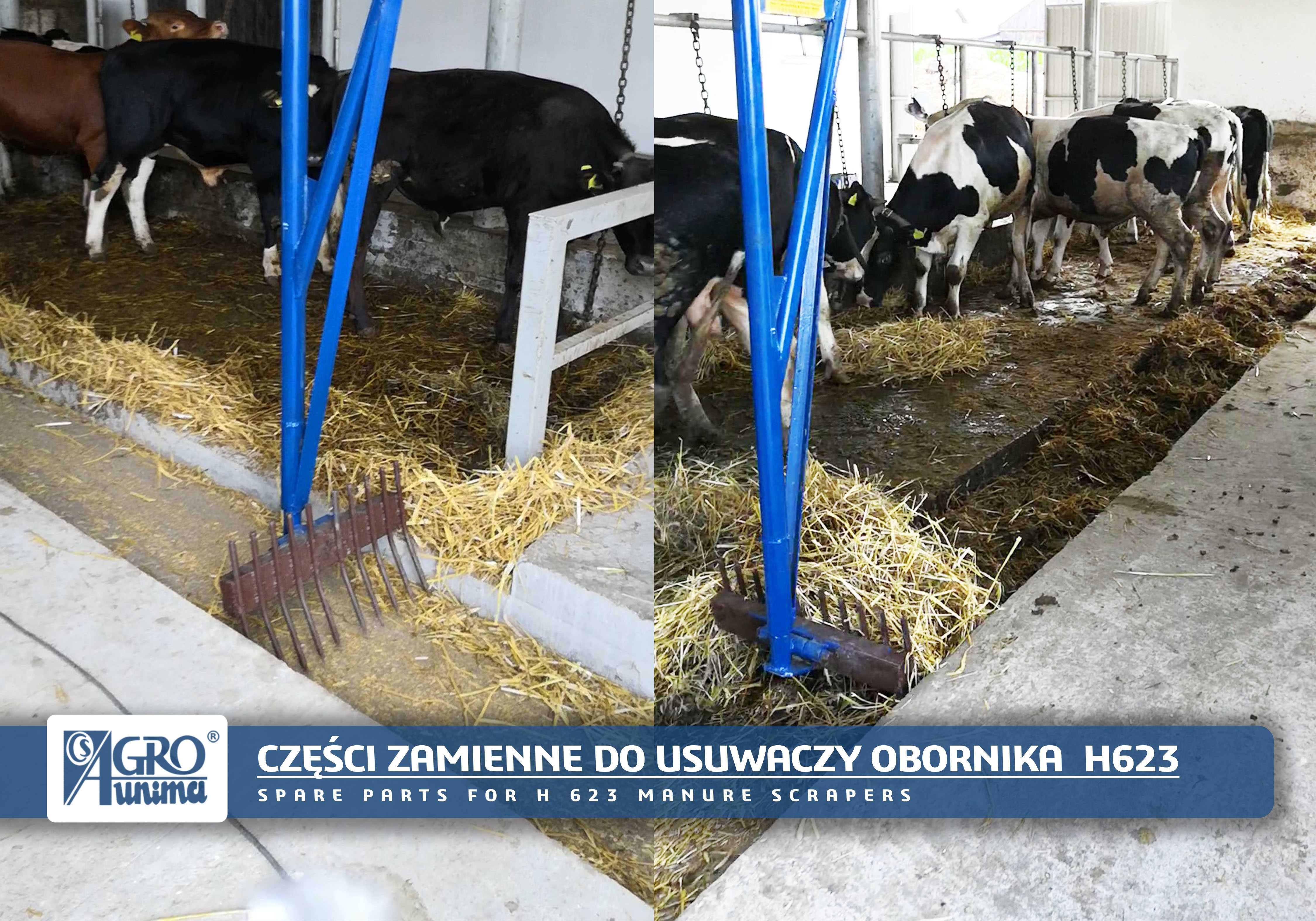 WIDŁY NA WYMIAR do zgarniacza usuwacza obornika typ H623 NOWE!