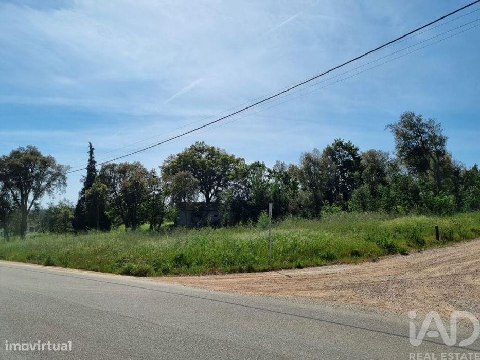 Terreno em Poiares (Santo André) de 1170,00 m2