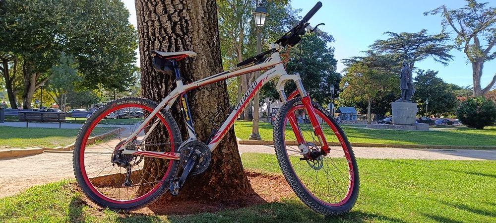 Especialized mountain bike