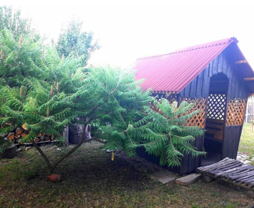 Продам дачний будинок