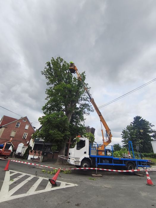 Usługi podnośnikiem koszowym – prace na wysokościach, minikoparka