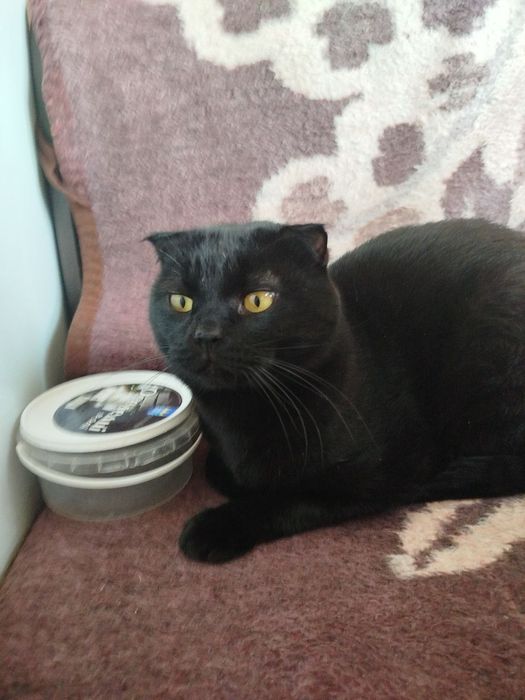 Потрібна допомога