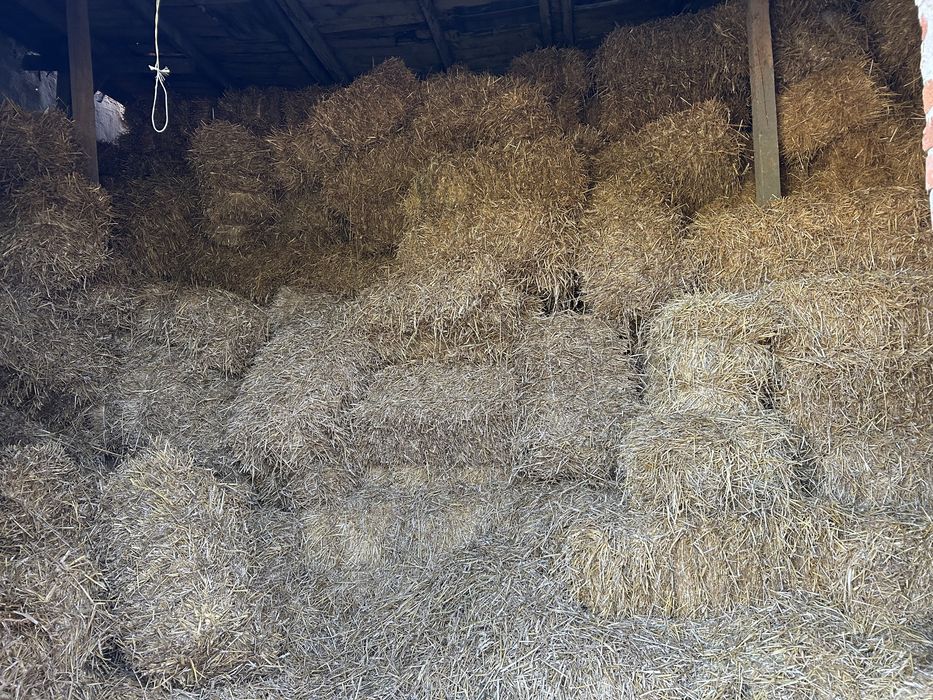 Тюки соломи  квадратні