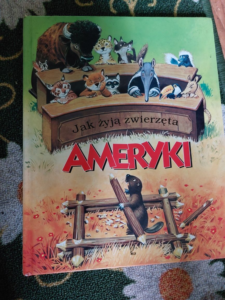 Jak żyją zwierzęta Ameryki. Ilustrowana encyklopedia dla dzieci.