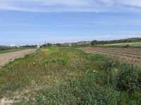 Terreno agrícola, com quase 6000 metr...