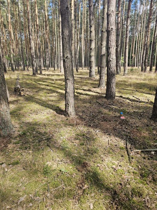 Działki nad Jeziorem Sławskim