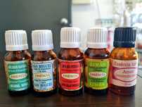 Essências 15ml para queimadores/difusores e aromaterapia