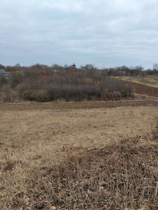 (3) Продам земельну ділянку в Зарванцях 0345