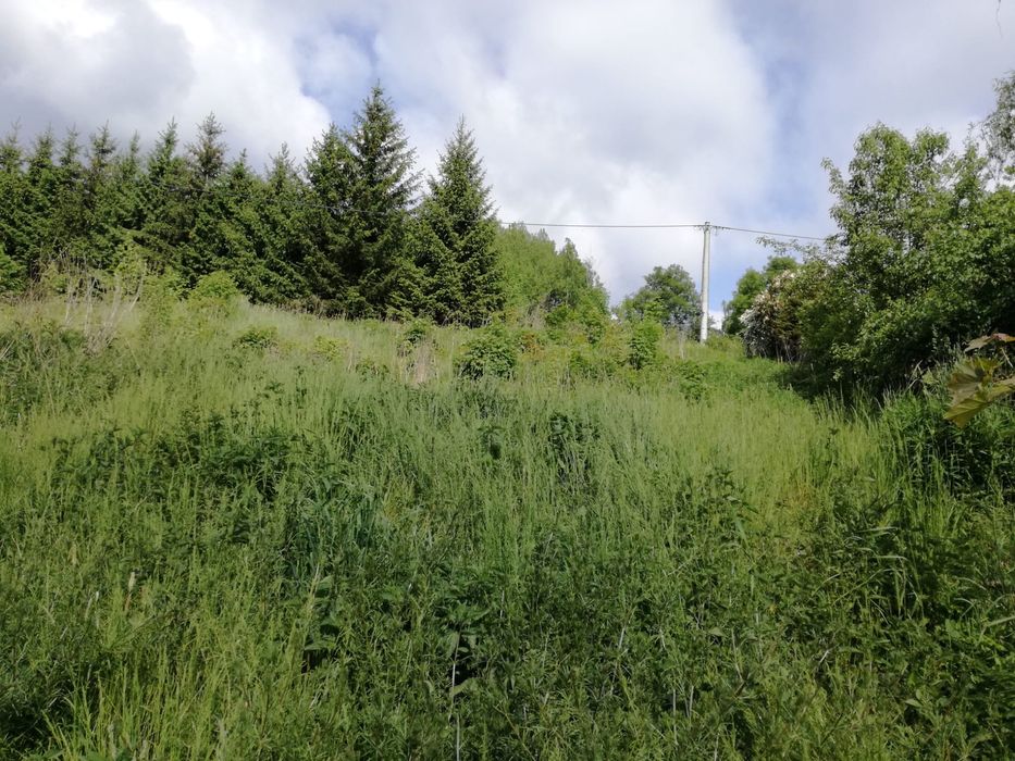 Działka 20 ar Podgórzyn