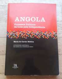 Angola, Processos Políticos da Luta pela Independência