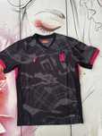 Camisola Chelsea 24/25 alternativa