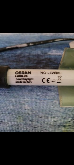 Akwarium-dodatkowe oświetlenie