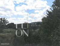 Terreno de Pinhal, Carvalhos e Oliveiras-  112