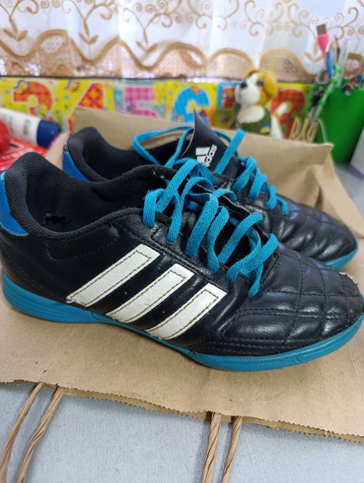 Сороконіжки  ...