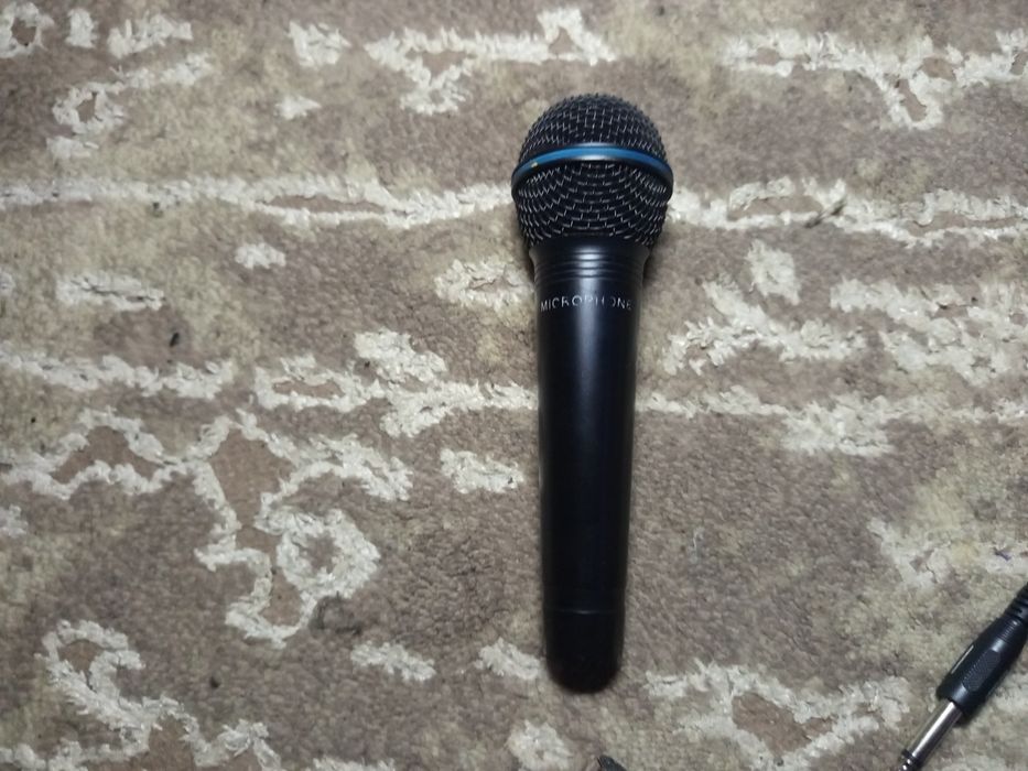 Мікрофон для караоке Leem DM300 dynamic microphone.