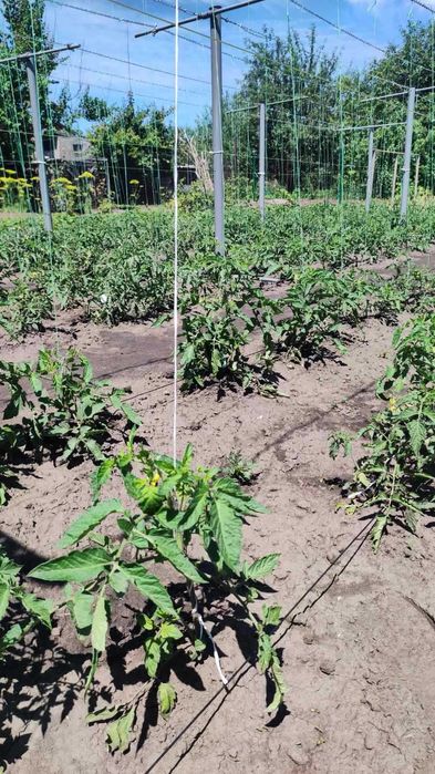 Продаж будинку в мальовничому місці біля водойми з гарним краєвидом