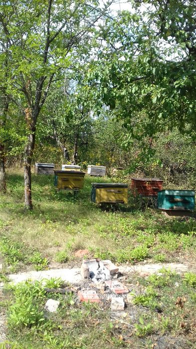 Продам дачу Сади Мичурина