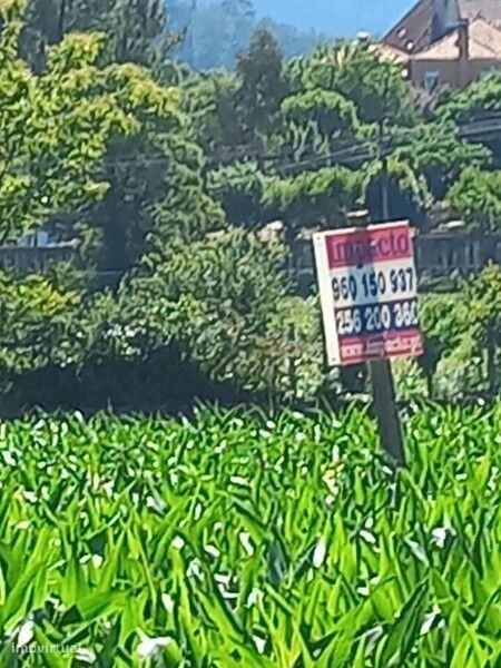 Terreno Rústico para venda em Escariz, Arouca