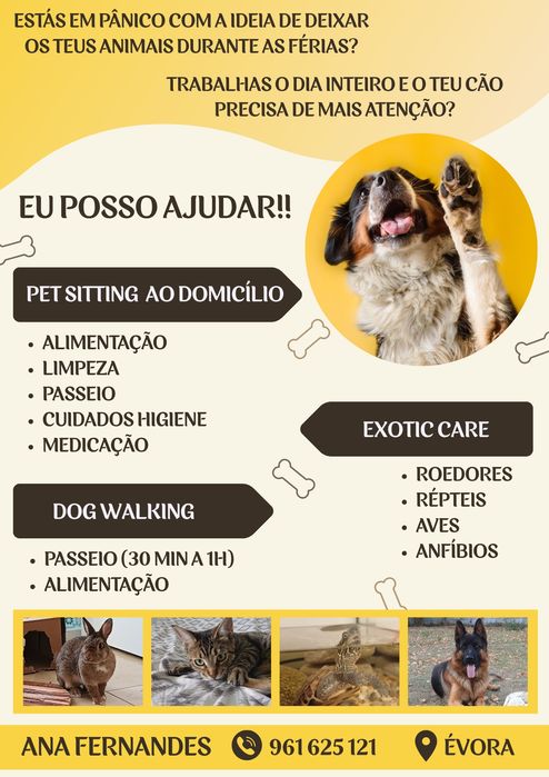Pet Sitting e Dog Walking Évora