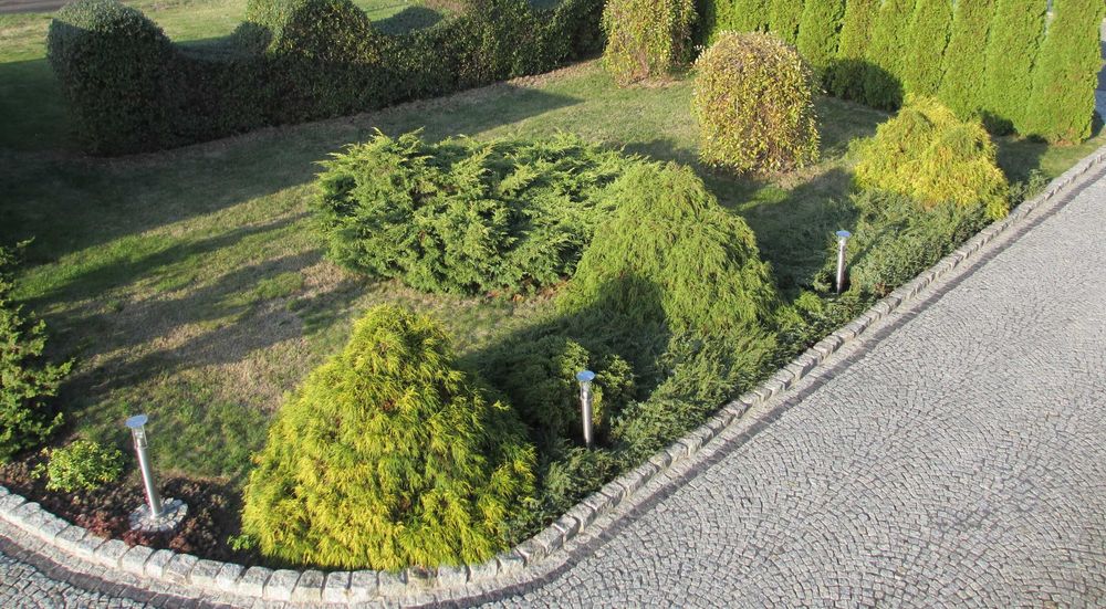 147m2 mieszkanie na parterze lokal biuro dom duży parking