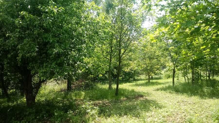 5 km od Karpacza. Kowary,  Spokój i Cisza. możliwa Agroturystyka .