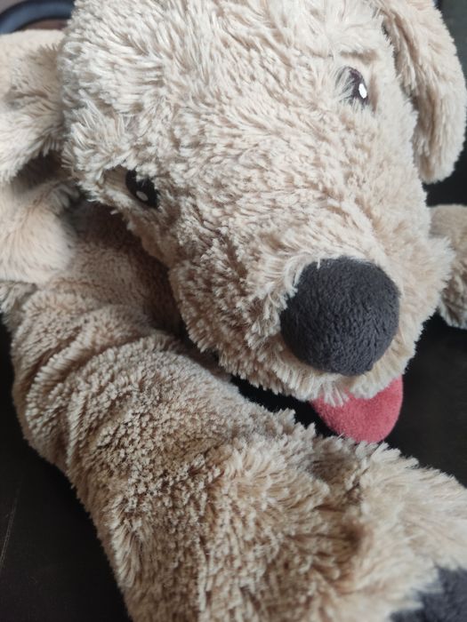 Pluszak mieciutki duży pies psiak