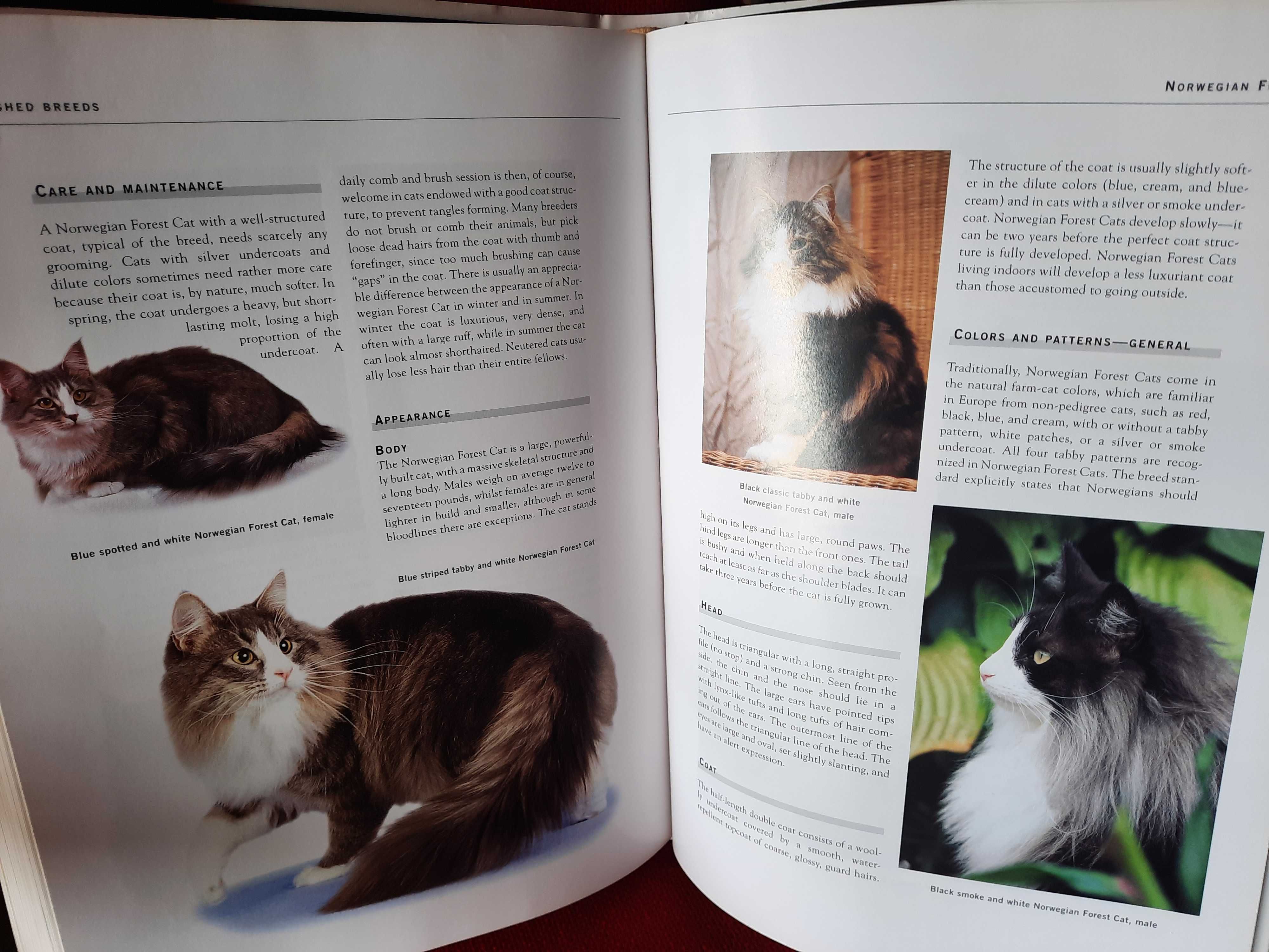 The complete encyclopedia of Cats