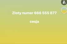 Zloty numer 666555***