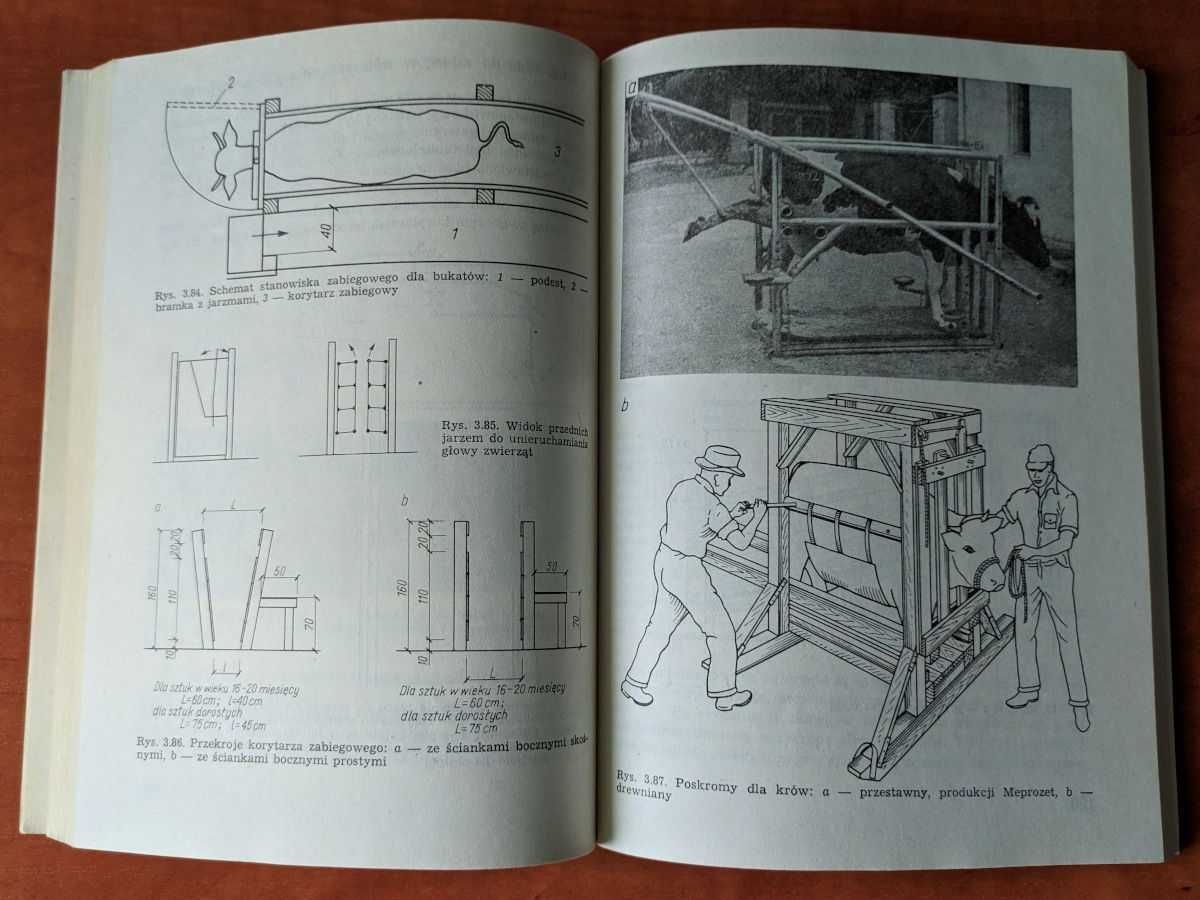 Mechanizacja chowu zwierząt w gospodarstwie indywidualnym W. Romaniuk