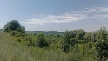 Продаж ділянки при дорозі  село Пашківці 1,55Га